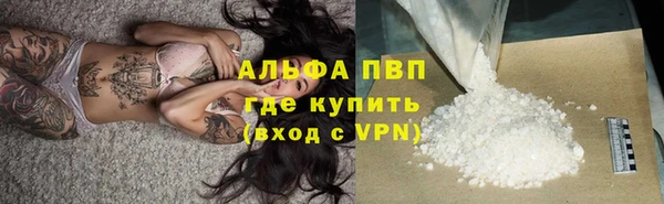 шишки Горняк