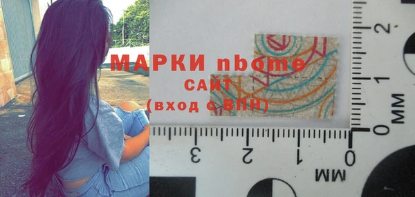 шишки Горняк