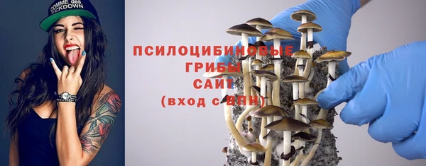 а пвп мука Горно-Алтайск
