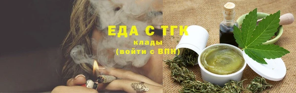шишки Горняк