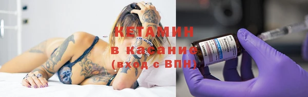 шишки Горняк