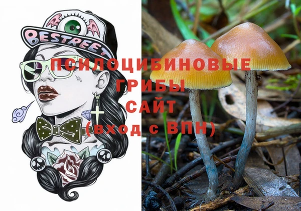 шишки Горняк