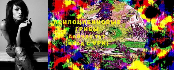 бошки Вязьма