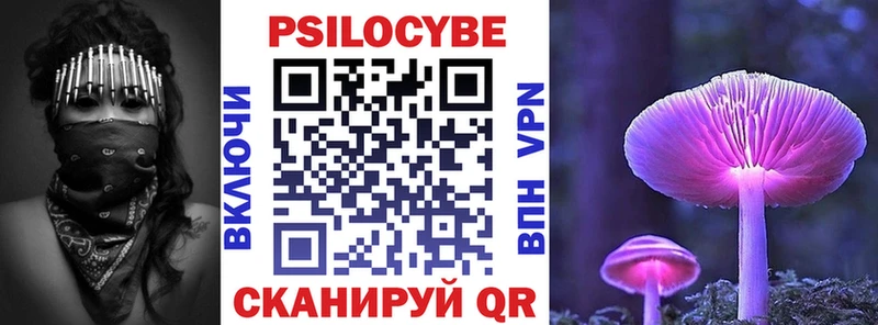 даркнет сайт  Комсомольск  Галлюциногенные грибы Psilocybine cubensis 